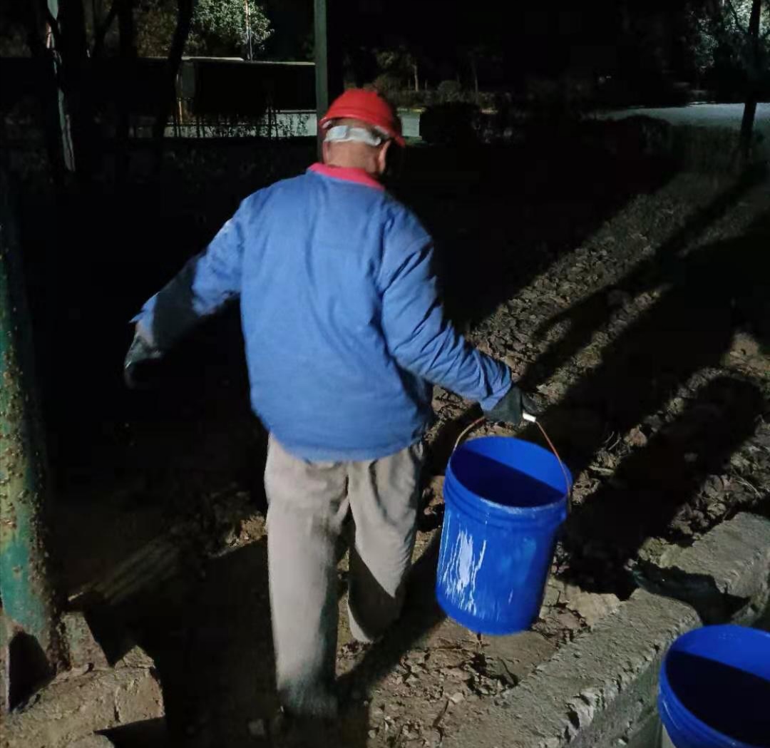 1612314255411757.jpeg 1612314255411757.jpeg