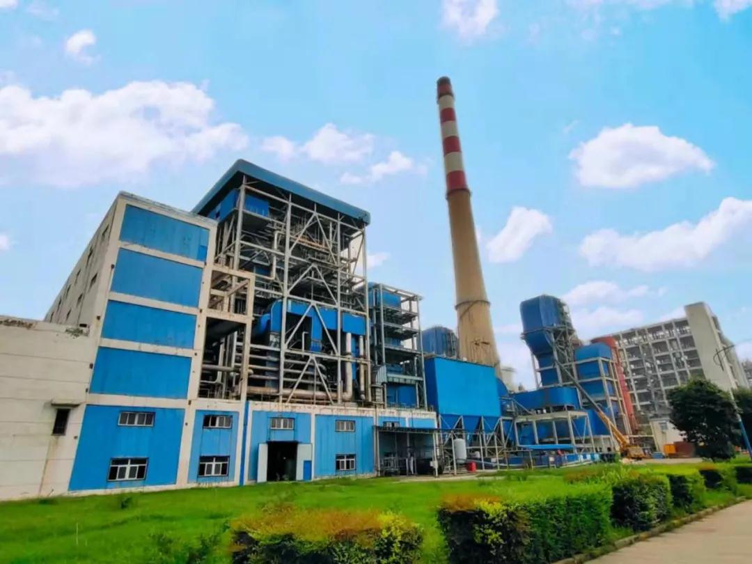 1613440753175492.jpeg 1613440753175492.jpeg