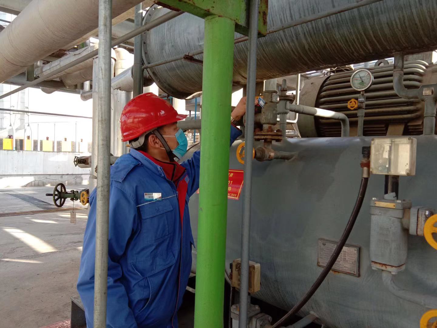 1613613686575213.jpeg 1613613686575213.jpeg