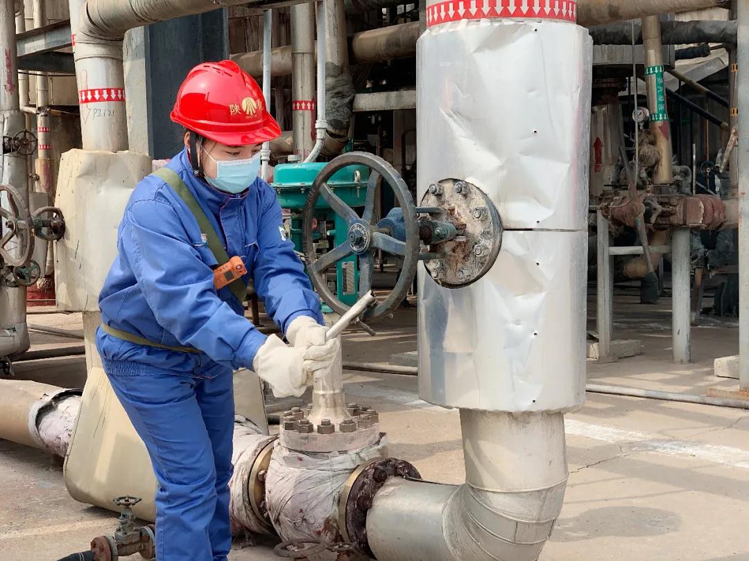 1615371937249913.jpeg 1615371937249913.jpeg