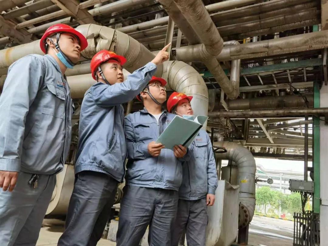 1619687365194259.jpeg 1619687365194259.jpeg