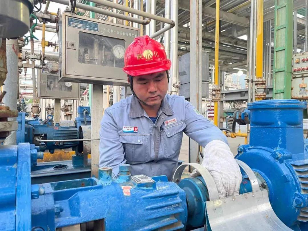 1620457968229111.jpeg 1620457968229111.jpeg