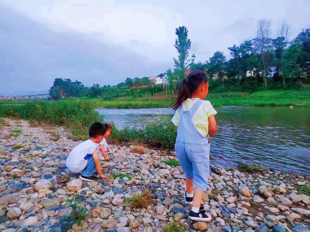 1620899993433175.jpeg 1620899993433175.jpeg