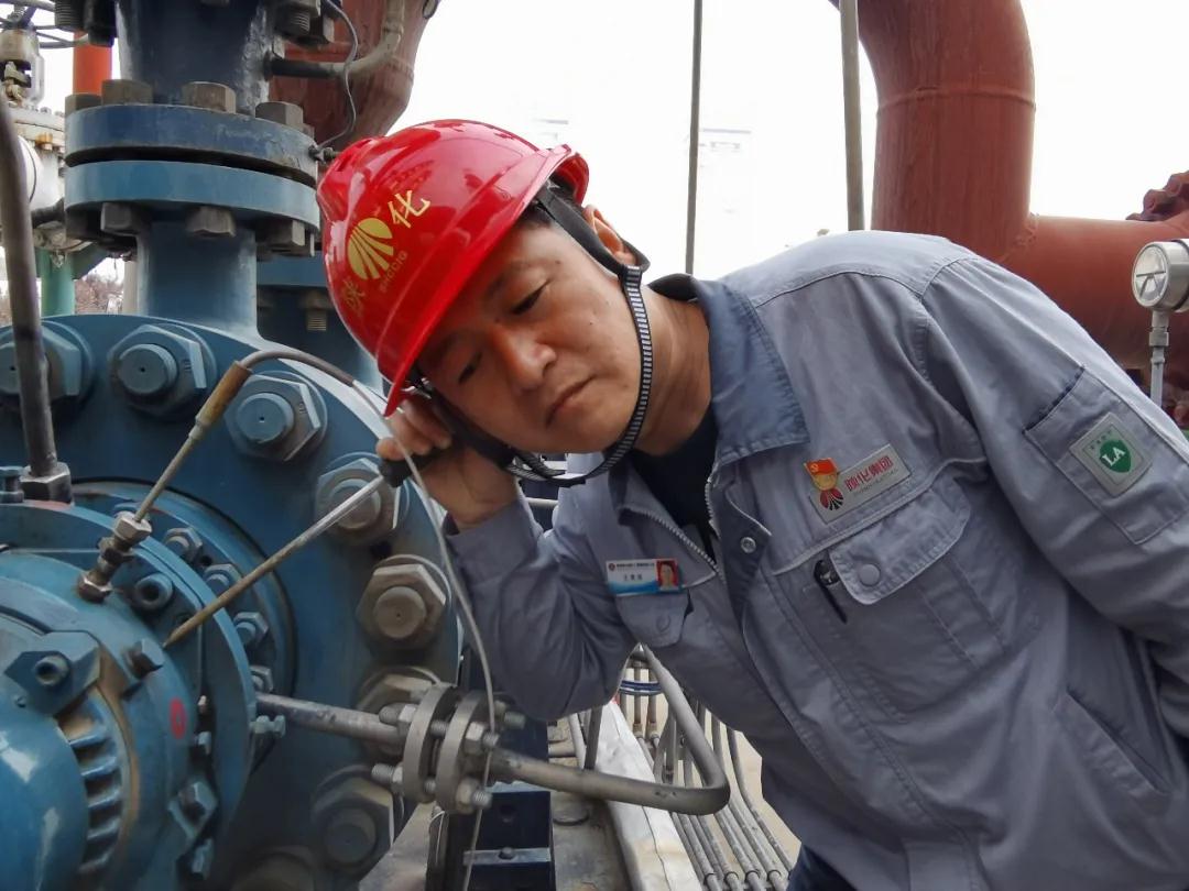 1621333568942193.jpeg 1621333568942193.jpeg