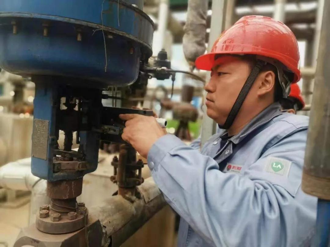 1621595517434785.jpeg 1621595517434785.jpeg