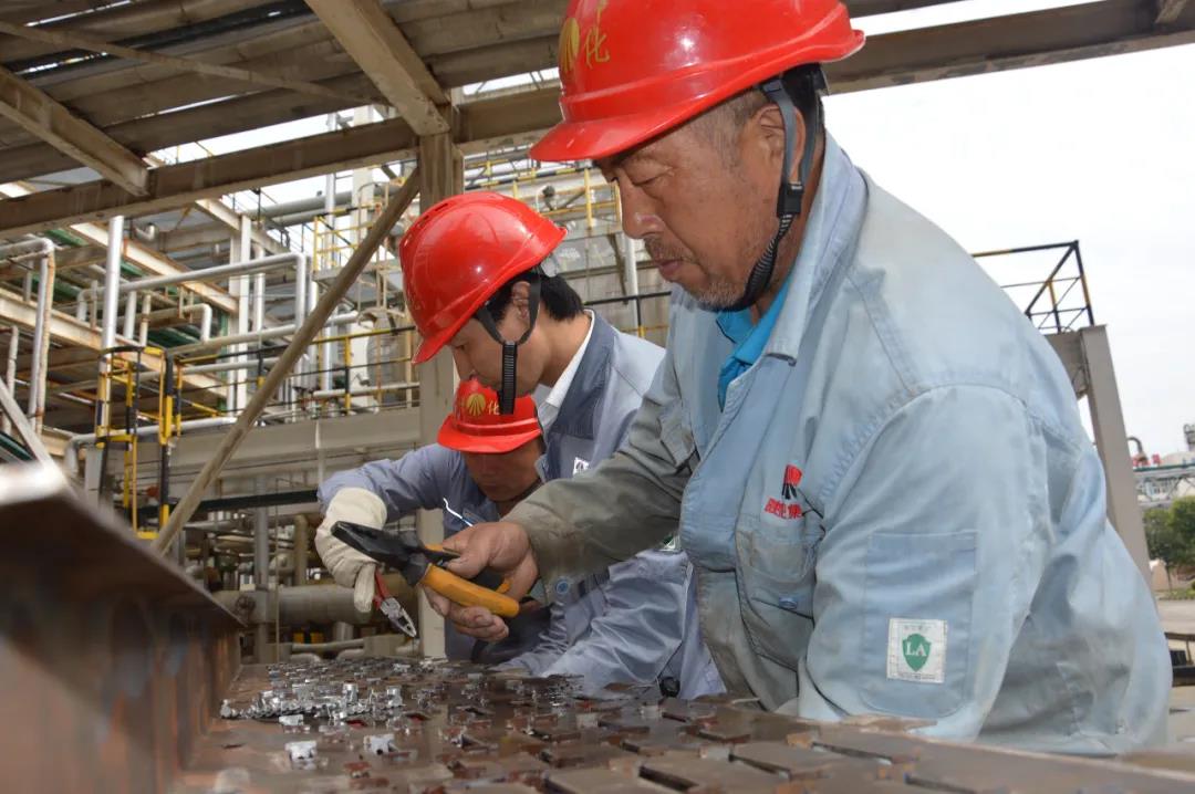 1621871807588279.jpeg 1621871807588279.jpeg