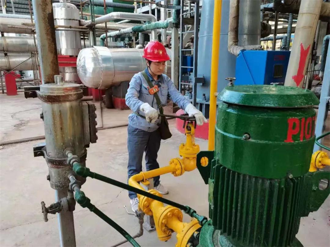 1625480955867258.jpeg 1625480955867258.jpeg