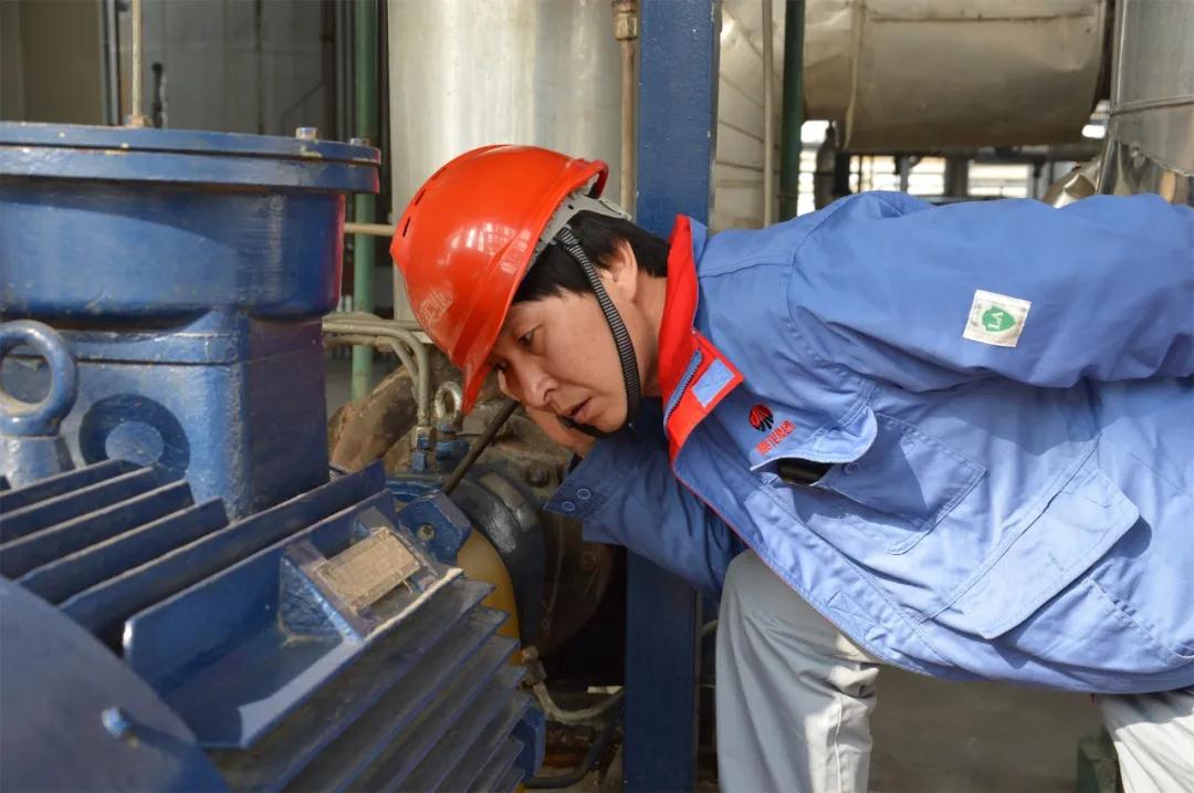 1625746183546827.jpeg 1625746183546827.jpeg