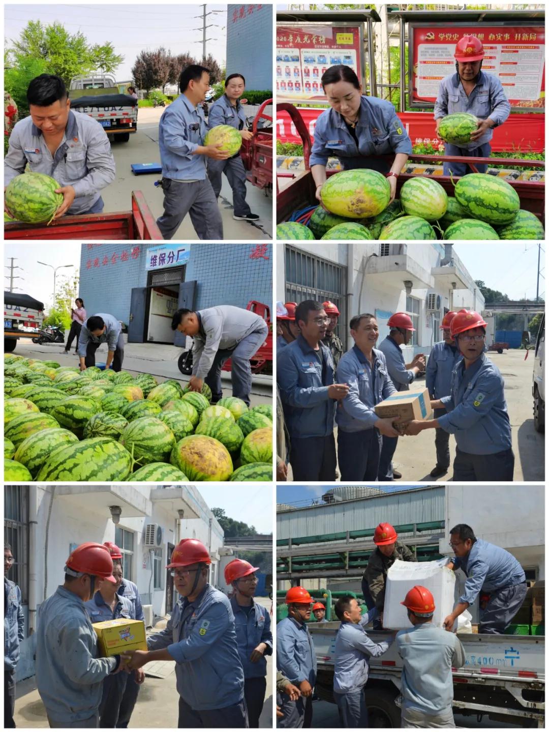 1626309032383525.jpeg 1626309032383525.jpeg