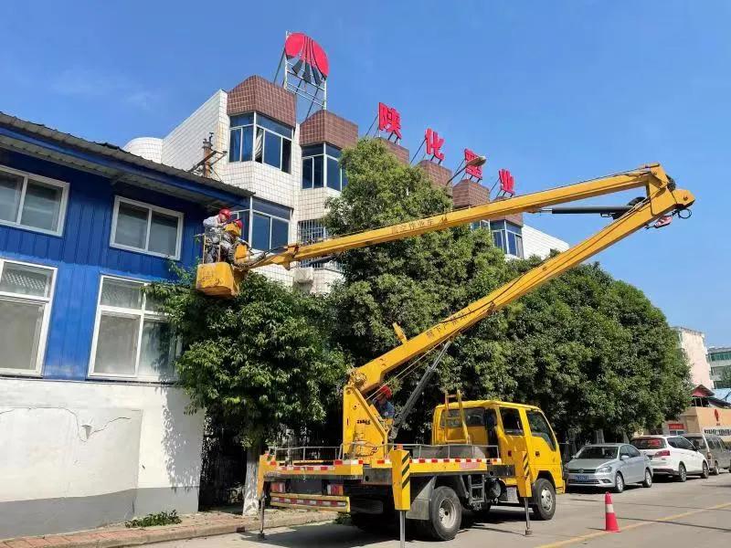 1627984694583973.jpeg 1627984694583973.jpeg