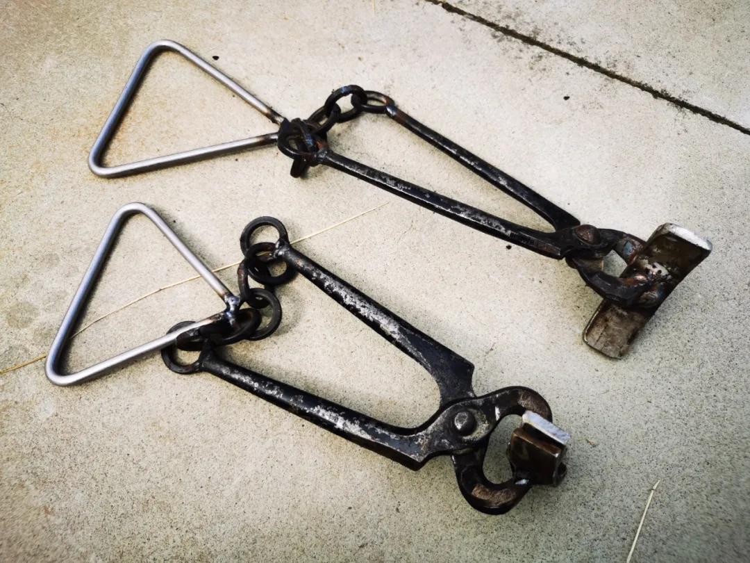 1628158141243558.jpeg 1628158141243558.jpeg