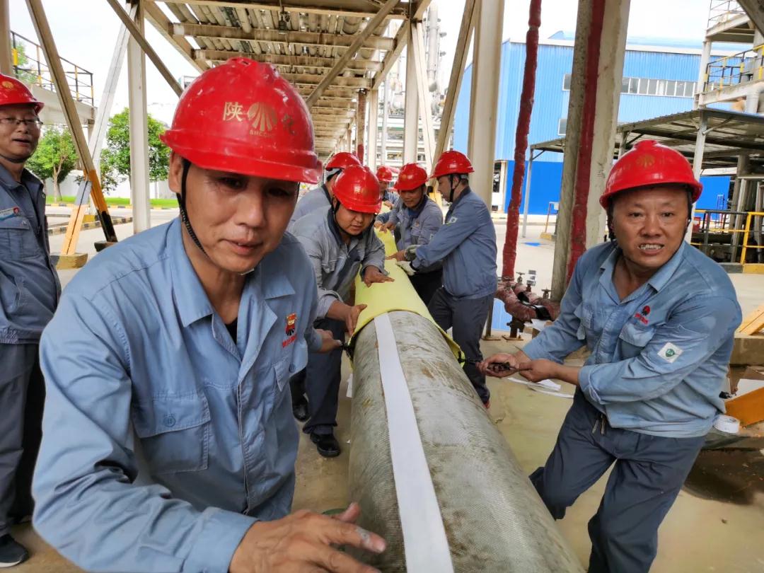 1628158148688259.jpeg 1628158148688259.jpeg