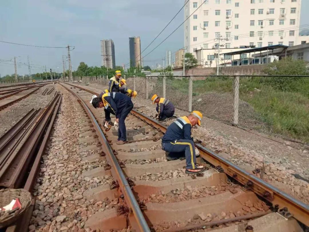 1628247078718484.jpeg 1628247078718484.jpeg