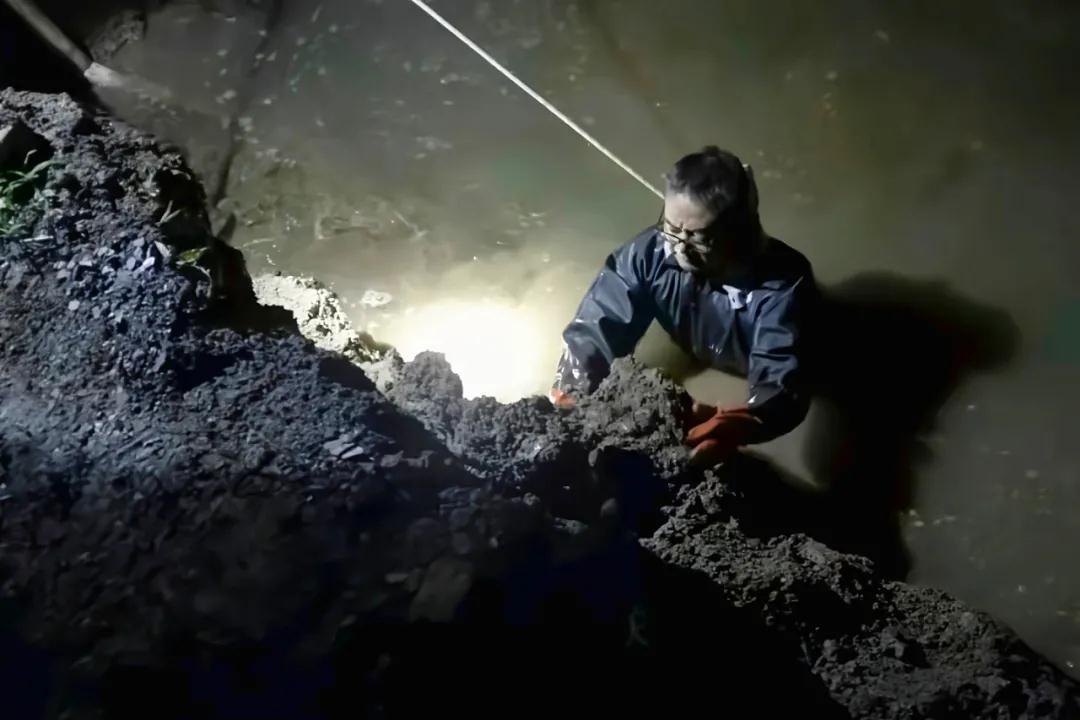 1632398409367687.jpeg 1632398409367687.jpeg