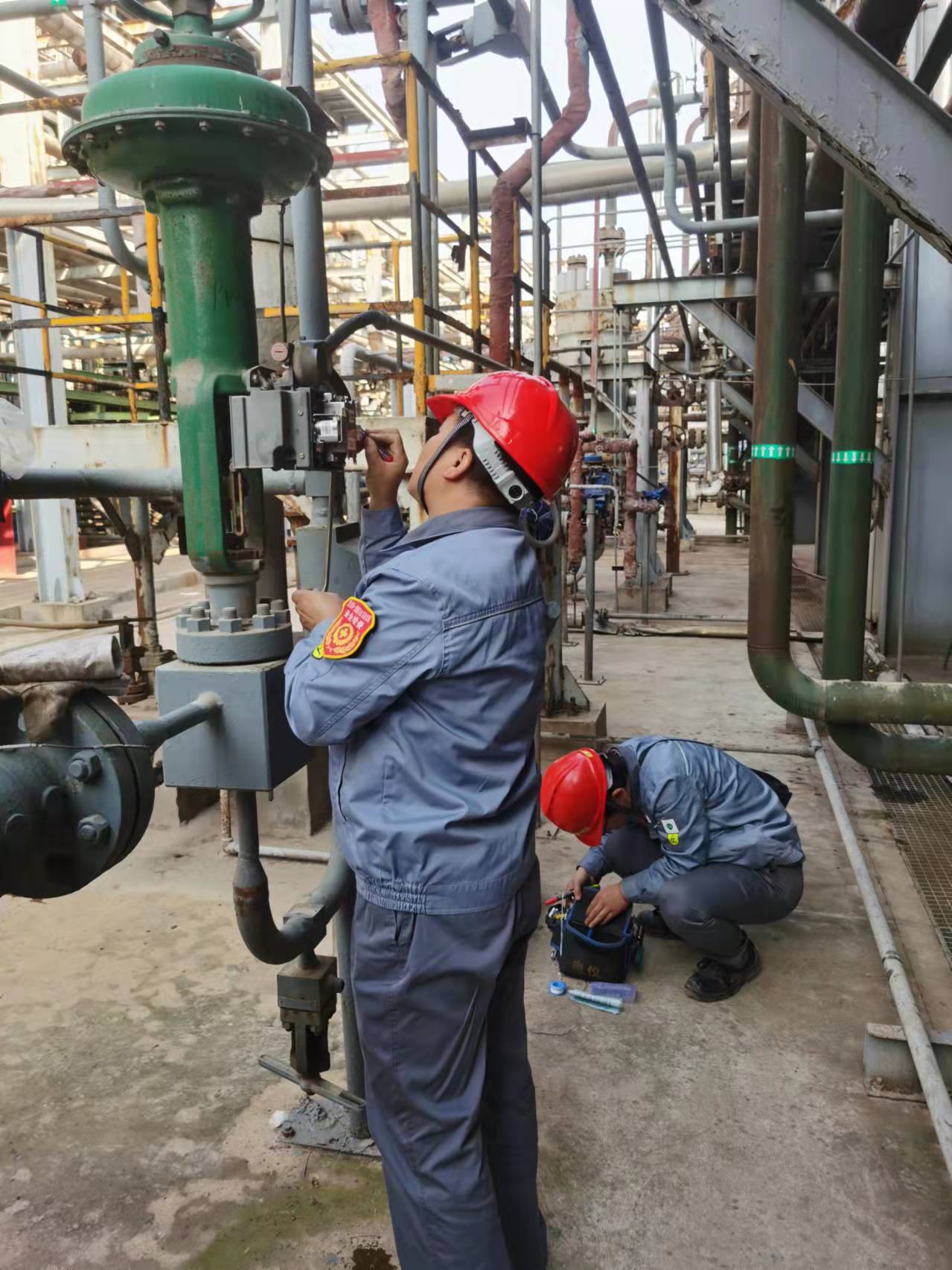 1635255153675412.jpeg 1635255153675412.jpeg