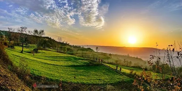 1637725485908559.jpeg u=3515720498,3892723264&fm=26&fmt=auto.webp.jpg