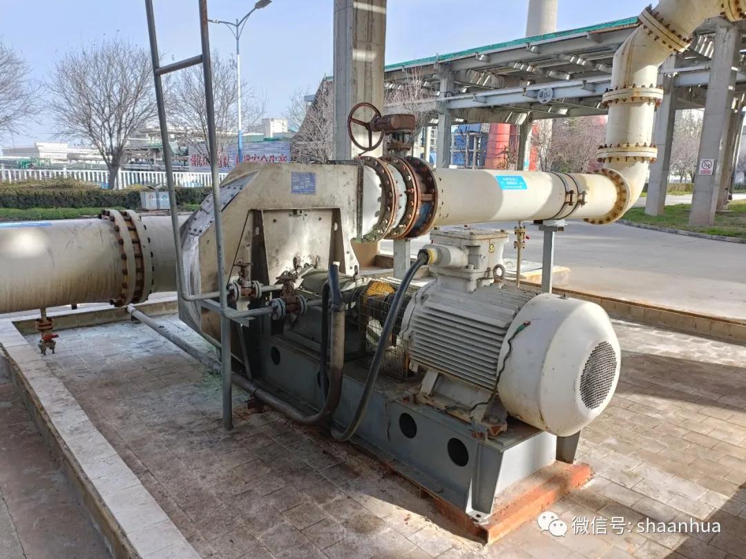 1641886726817752.jpeg 1641886726817752.jpeg