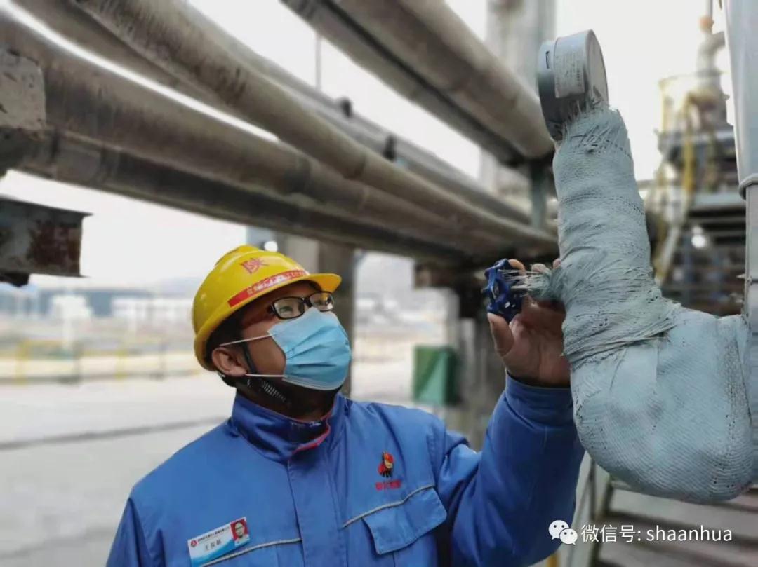 1642510168114011.jpeg 1642510168114011.jpeg