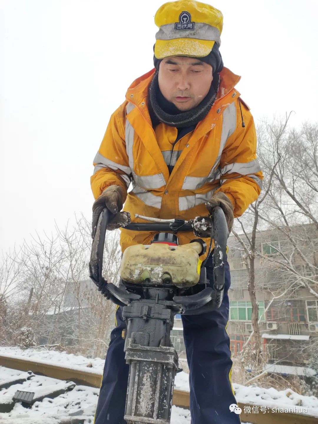 1646397742488929.jpeg 1646397742488929.jpeg