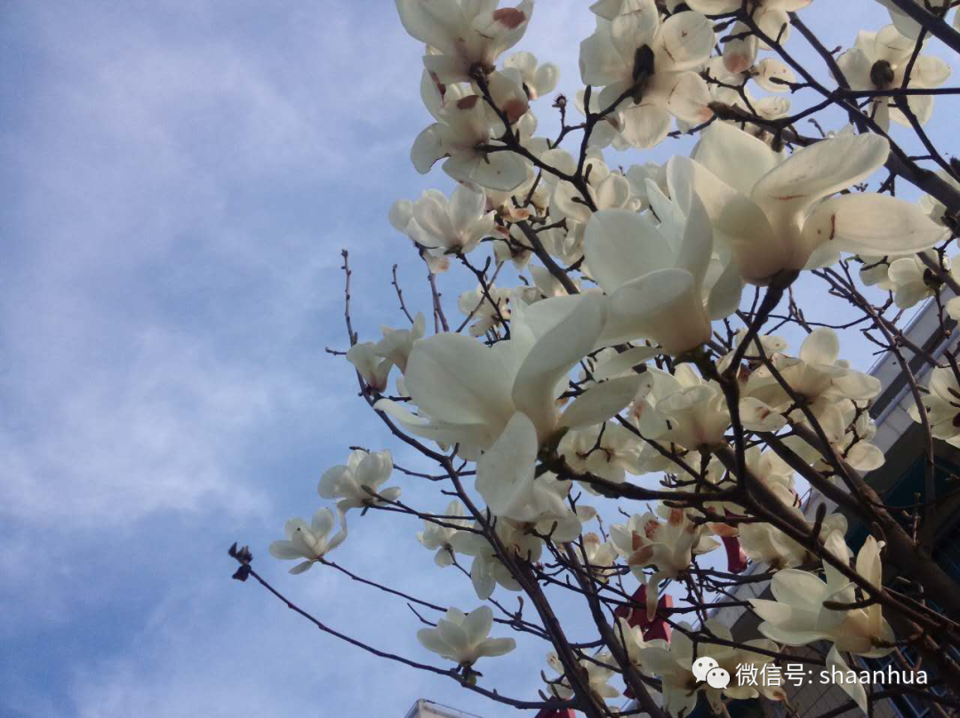 1647946561441679.png 1647946561441679.png