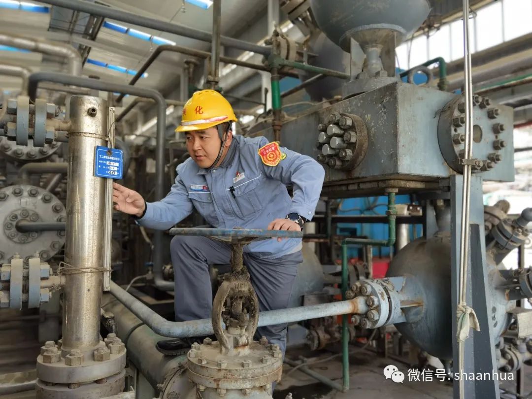 1648464567841287.jpeg 1648464567841287.jpeg