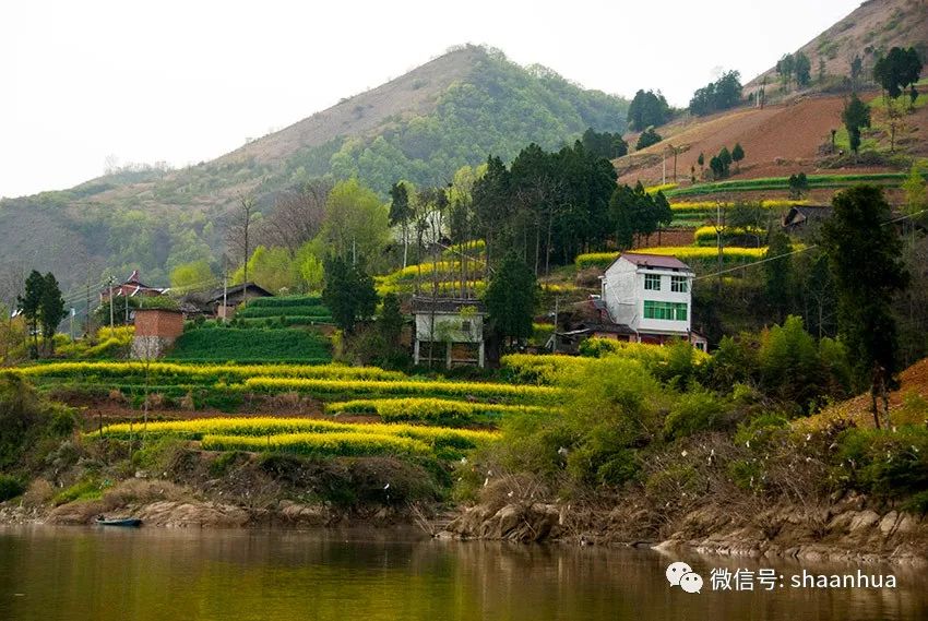 1652167734127351.jpeg 1652167734127351.jpeg