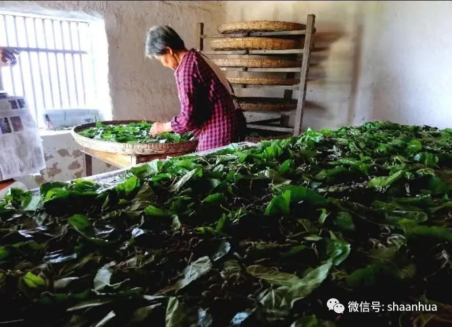 1652167743727486.jpeg 1652167743727486.jpeg