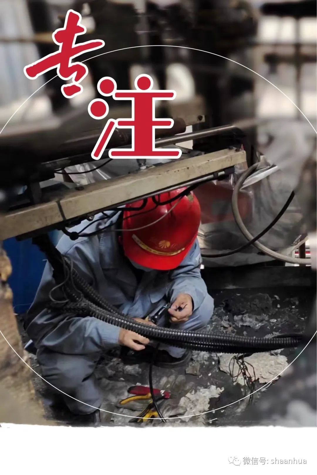 1654607665829485.jpeg 1654607665829485.jpeg