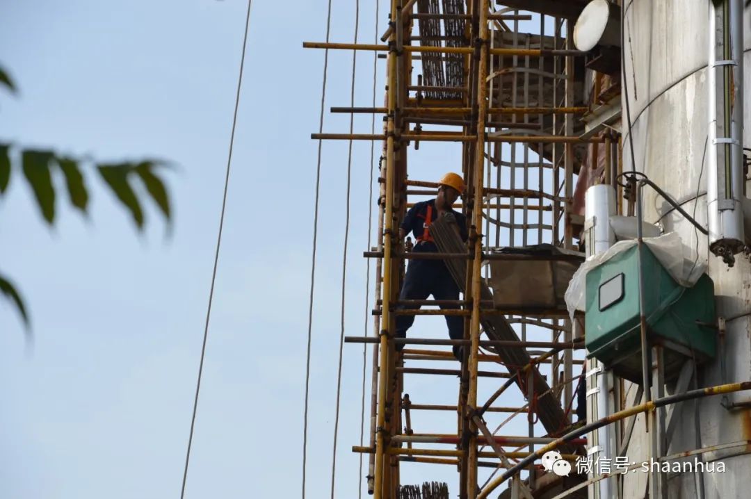 1654733882783206.jpeg 1654733882783206.jpeg