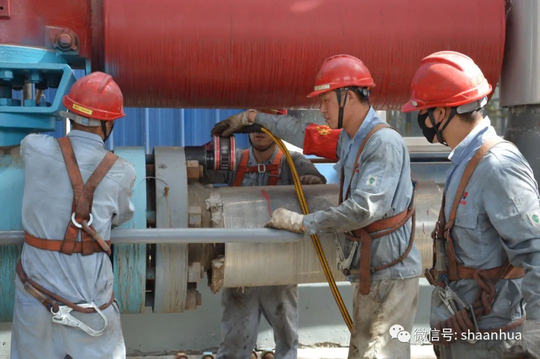 1654733996963677.jpeg 1654733996963677.jpeg