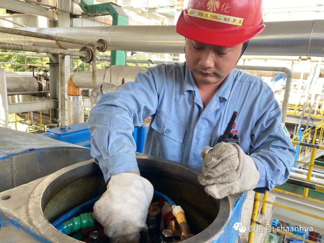 1654994470401888.jpeg 1654994470401888.jpeg