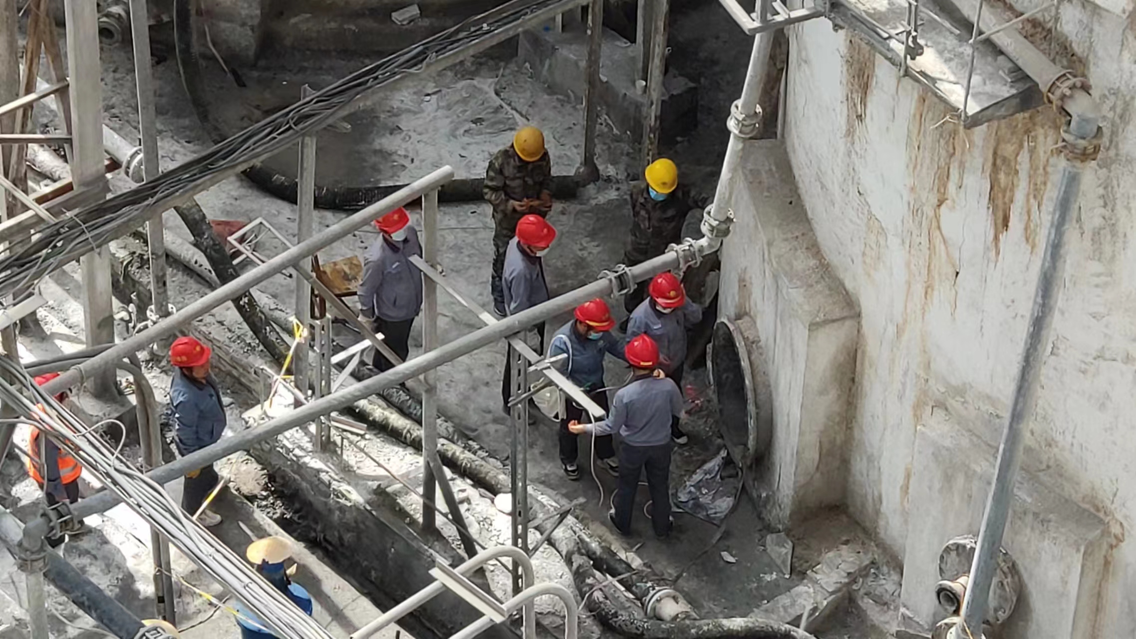 1655015124859493.jpeg 1655015124859493.jpeg