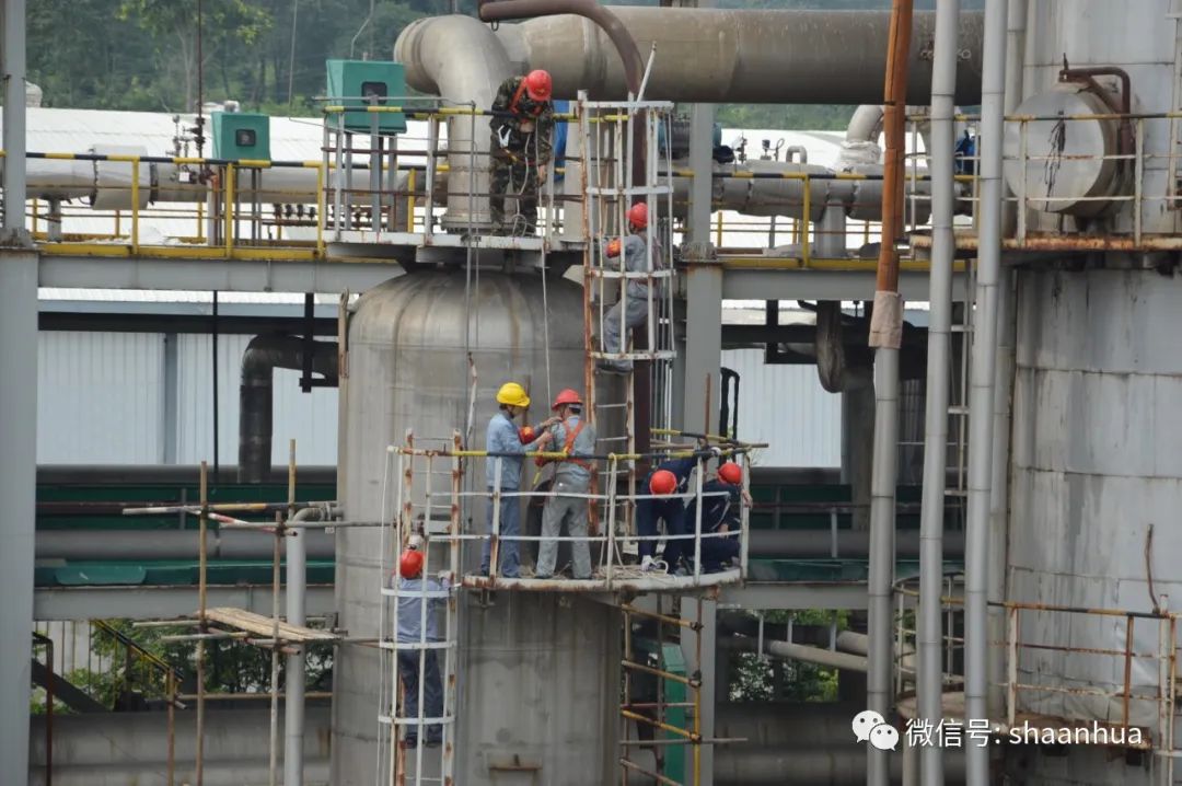 1655103995741827.jpeg 1655103995741827.jpeg