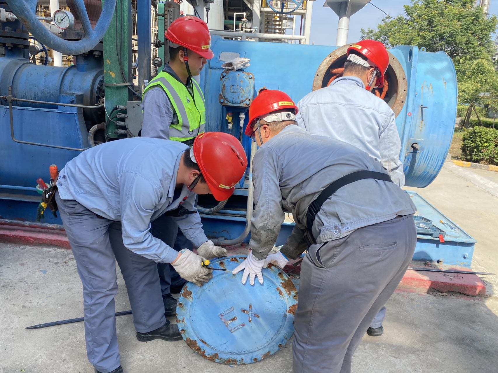 1655166365695318.jpeg 1655166365695318.jpeg