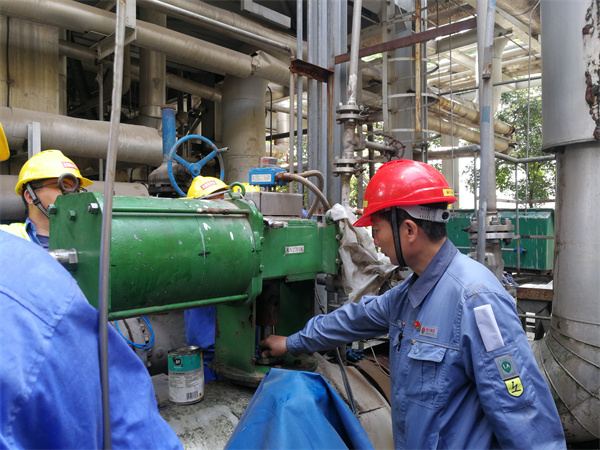 1655275309198742.jpeg 3.jpg