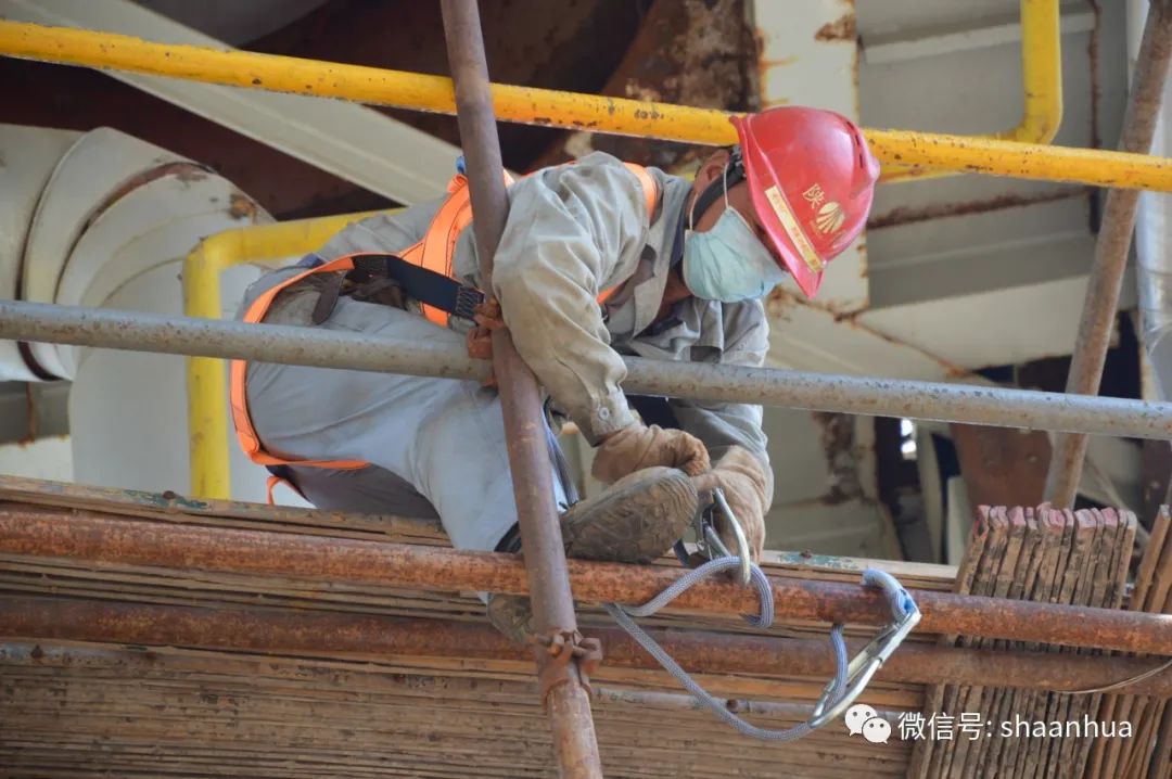 1655436341123931.jpeg 1655436341123931.jpeg