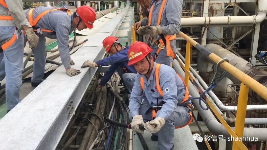 1657159732567621.jpeg 1657159732567621.jpeg