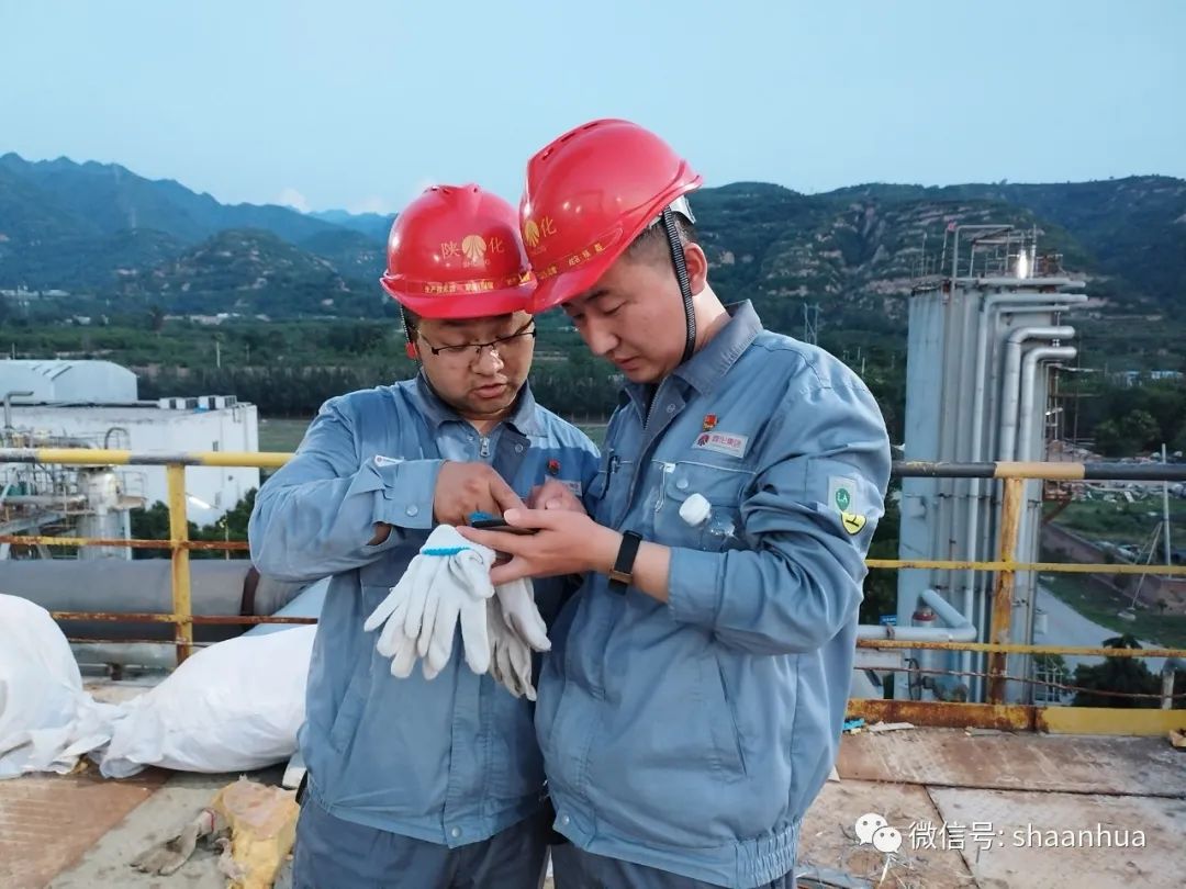 1657159769247613.jpeg 1657159769247613.jpeg