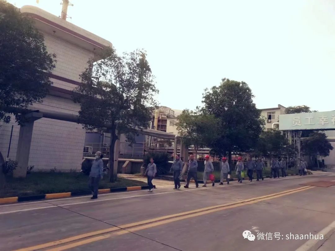 1660818415925926.jpeg 1660818415925926.jpeg