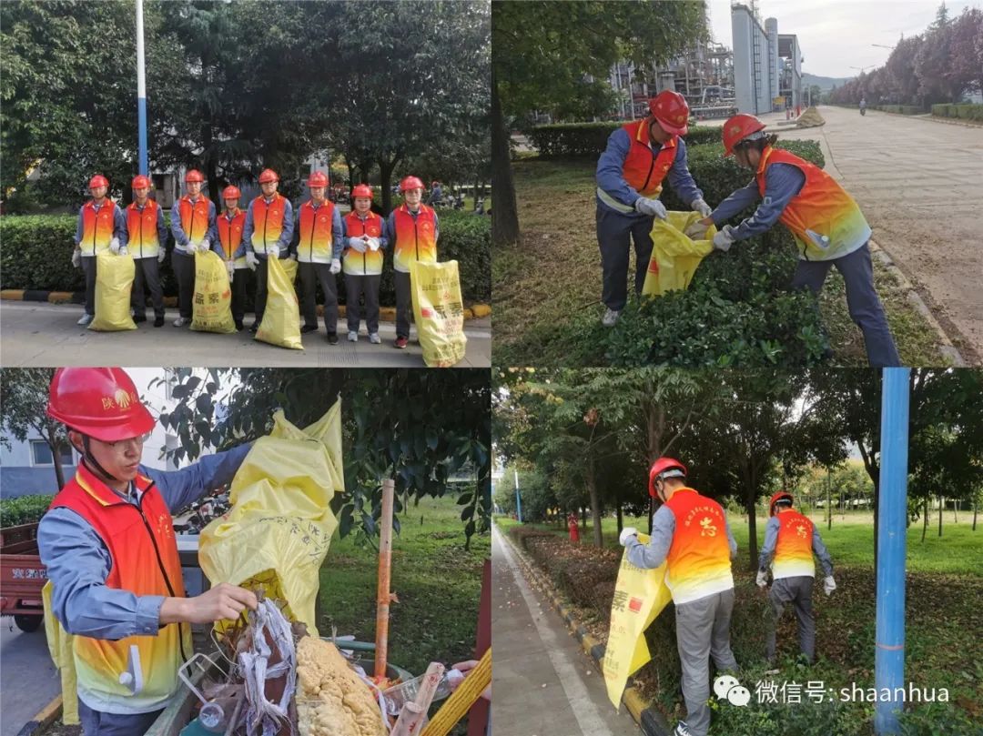 1663947329898555.jpeg 1663947329898555.jpeg