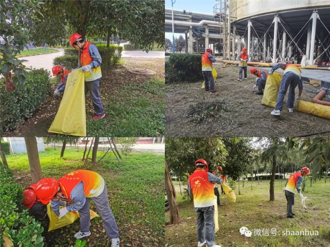 1663947338383573.jpeg 1663947338383573.jpeg