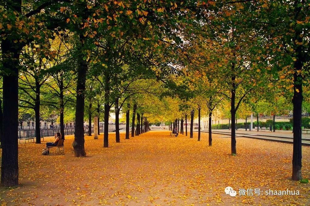 1665485253303051.jpeg 1665485253303051.jpeg