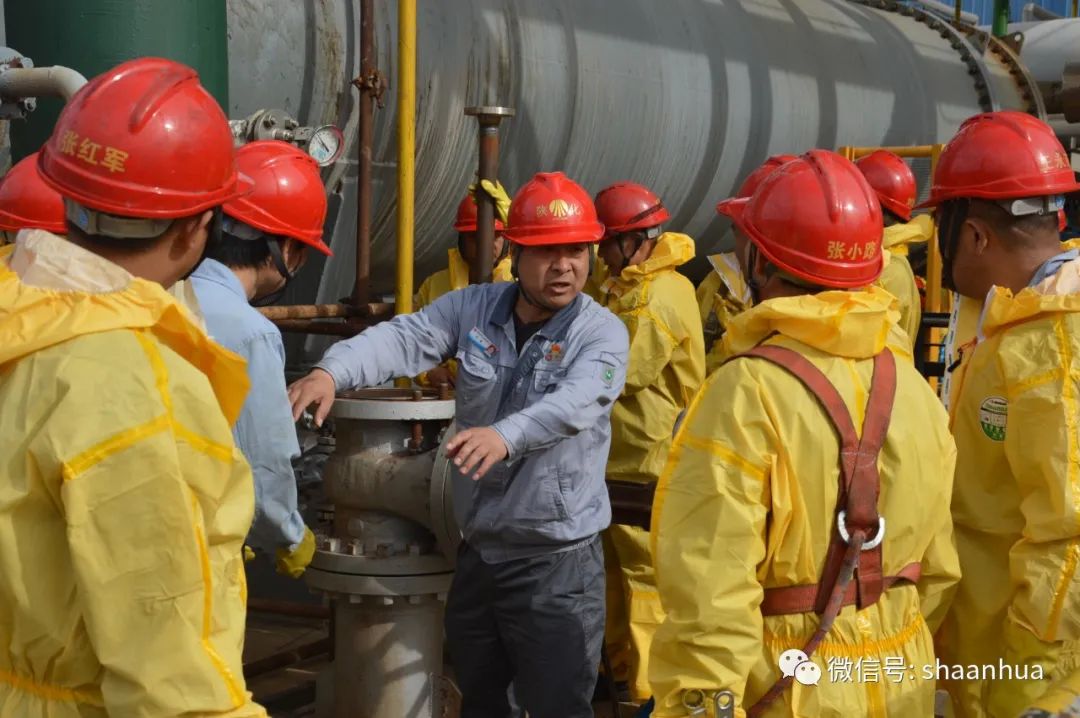 1665575332747292.jpeg 1665575332747292.jpeg