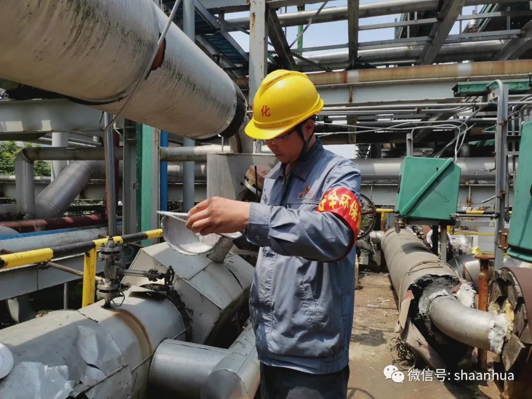 1665731088492267.jpeg 1665731088492267.jpeg