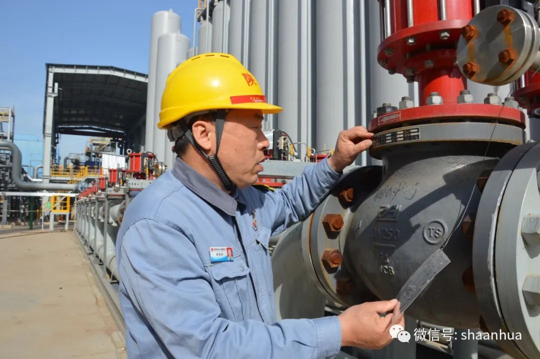 1666174624116185.jpeg 1666174624116185.jpeg