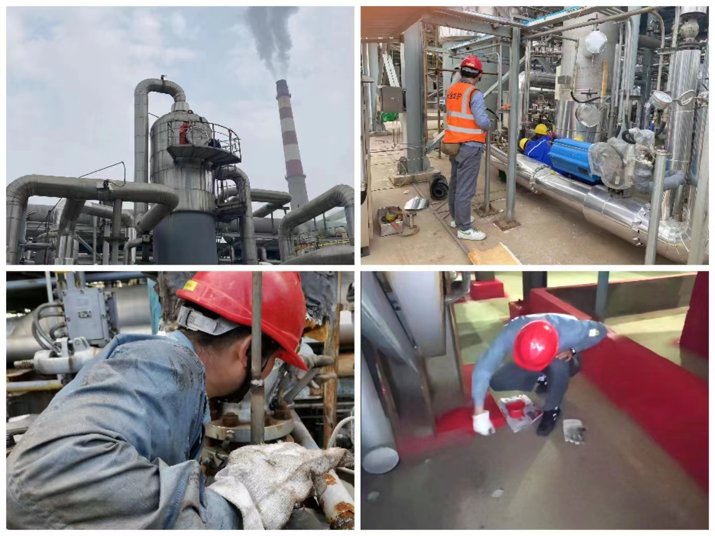 1668645737602632.jpeg 1668645737602632.jpeg