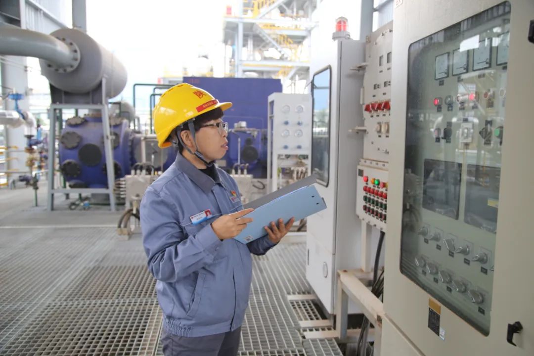 1681143499623734.jpeg 1681143499623734.jpeg