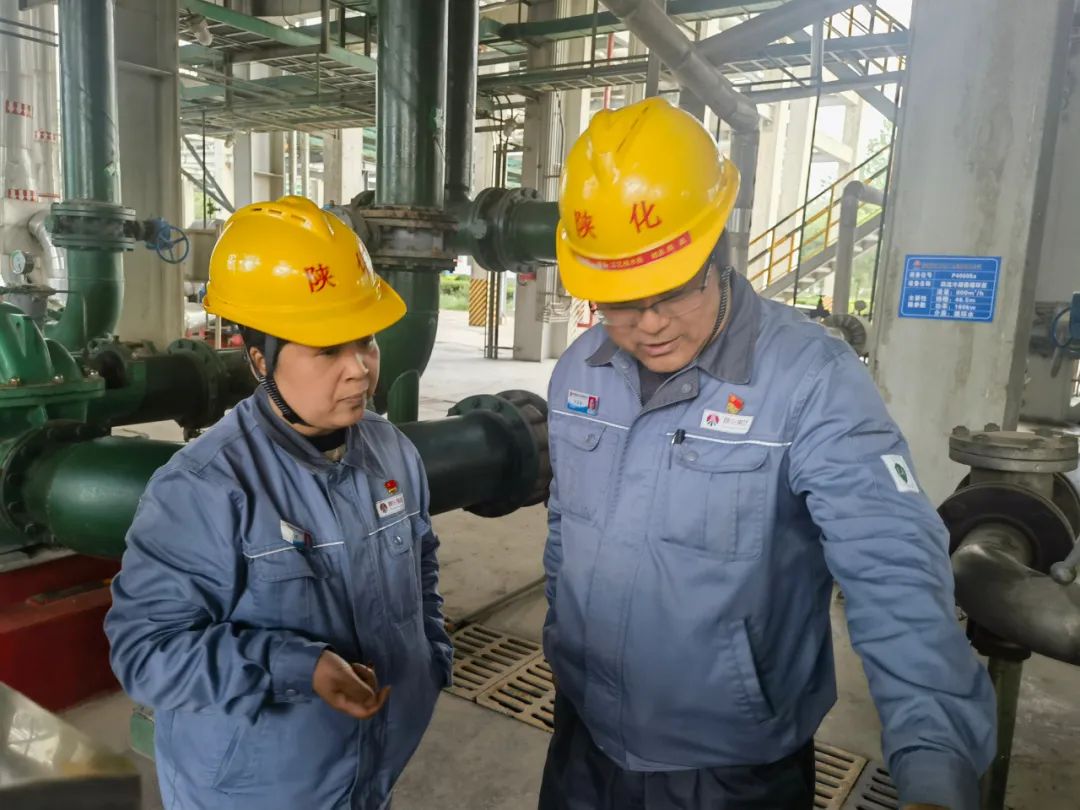 1683170491231462.jpeg 1683170491231462.jpeg