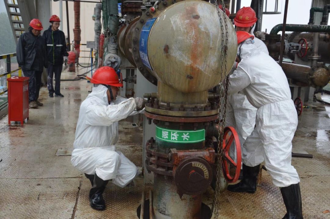 1683541333583394.jpeg 1683541333583394.jpeg