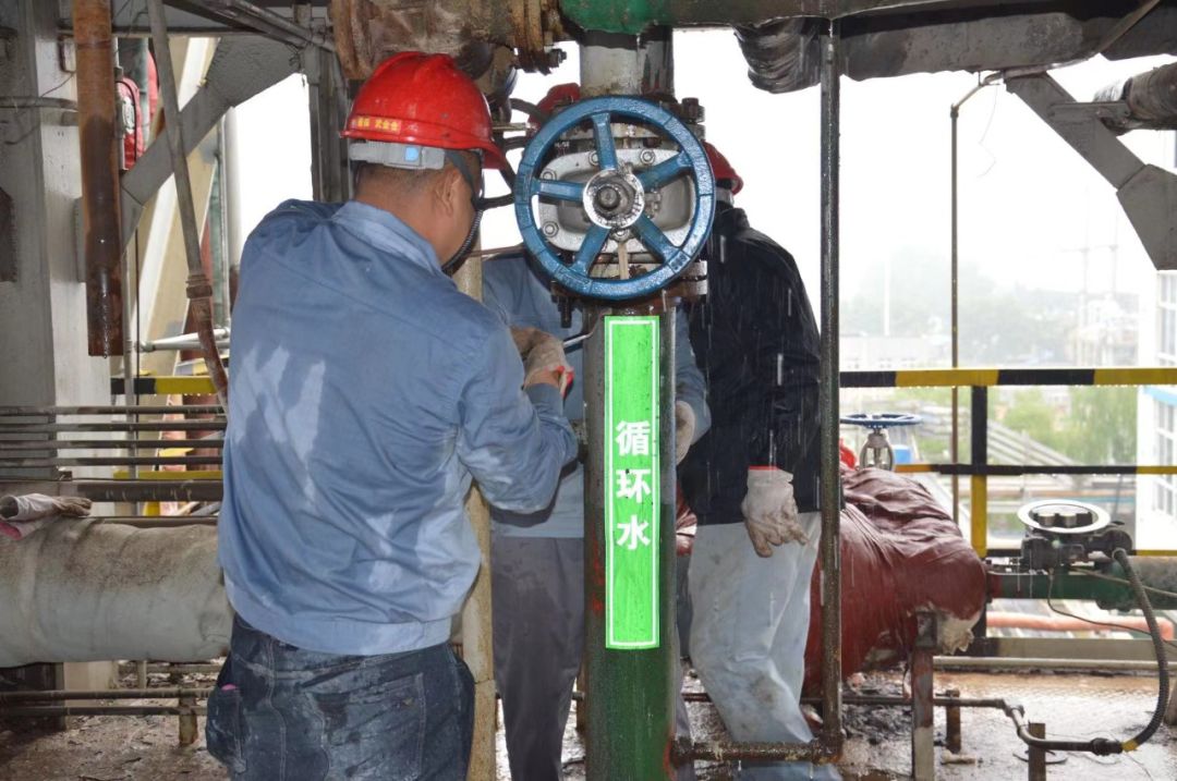 1683541333861079.jpeg 1683541333861079.jpeg